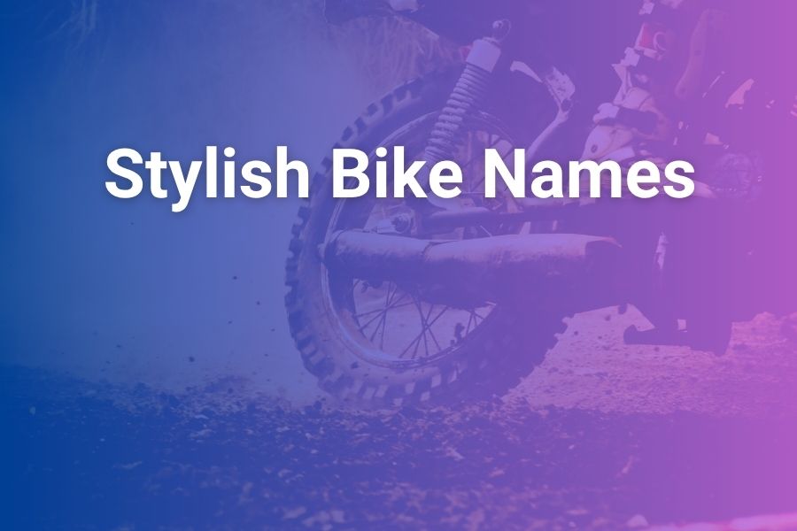 Stylish Bike Names You’ll Love for Your Ride